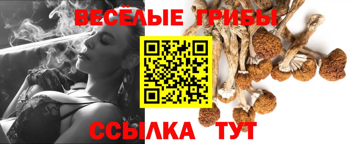 Галлюциногенные грибы MAGIC MUSHROOMS  Псилоцибиновые грибы Psilocybine cubensis  Вход с VPN  Киреевск 